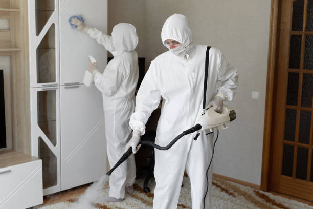 Best Commercial Mold Removal  in Lubeck, WV